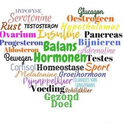 Hormonen & Voeding